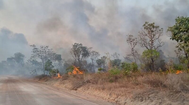 Chuva apaga incêndio na Apa Alter do Chão; imagens de satélite mostram  evolução das chamas, Santarém e Região