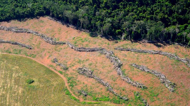 Observatório do ClimaAmazônia sufocada e o racha na ciência do clima - OC