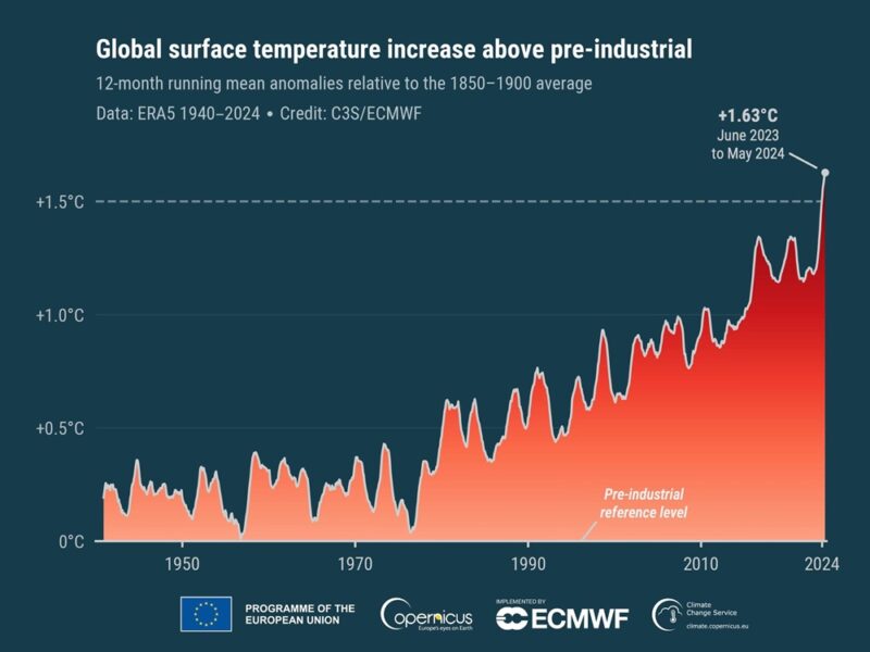 "Padrinhos do caos climático", diz António Guterres sobre companhias de combustíveis fósseis