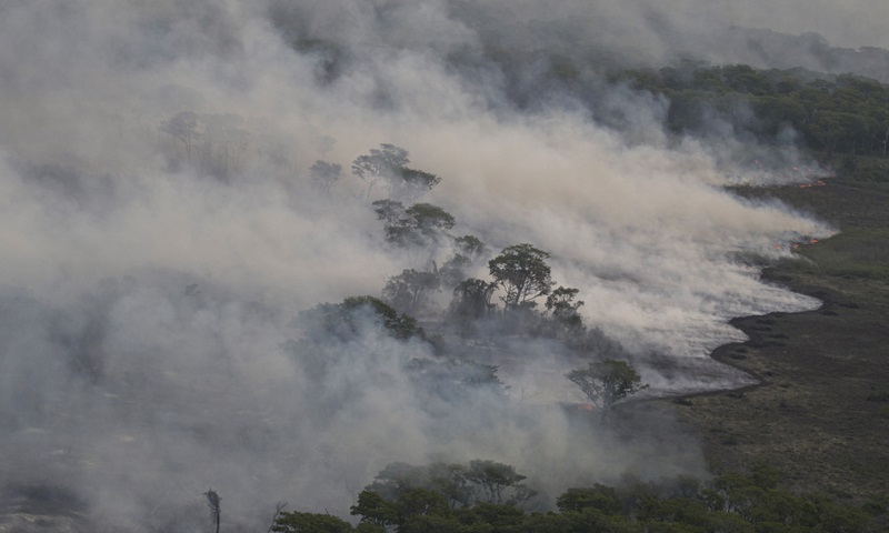 Pantanal foi o bioma que mais secou desde 1985