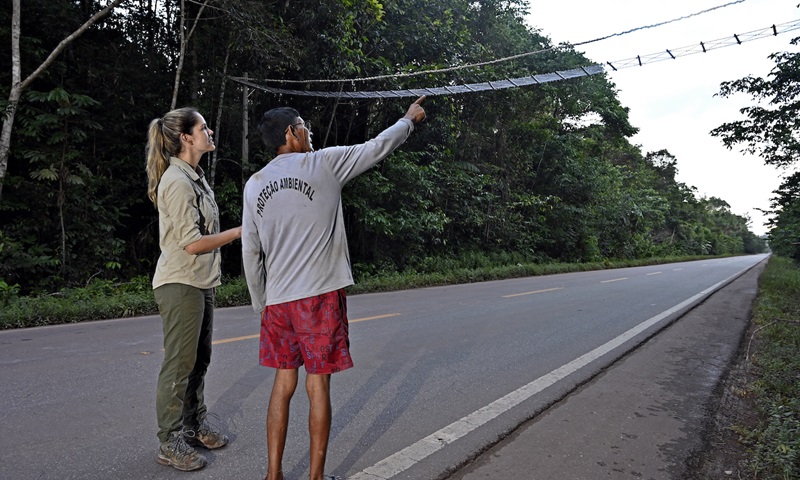 Reconecta, premiado projeto brasileiro para evitar atropelamentos de fauna, será testado no exterior