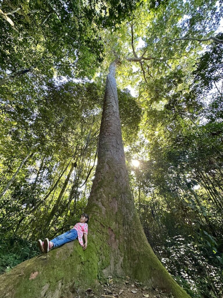 Fazenda em Alta Floresta é nova reserva de proteção do MT e impulsiona turismo de observação de vida selvagem