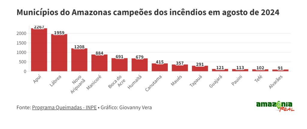 Pouca gente para muito fogo: a luta para combater os incêndios no Amazonas