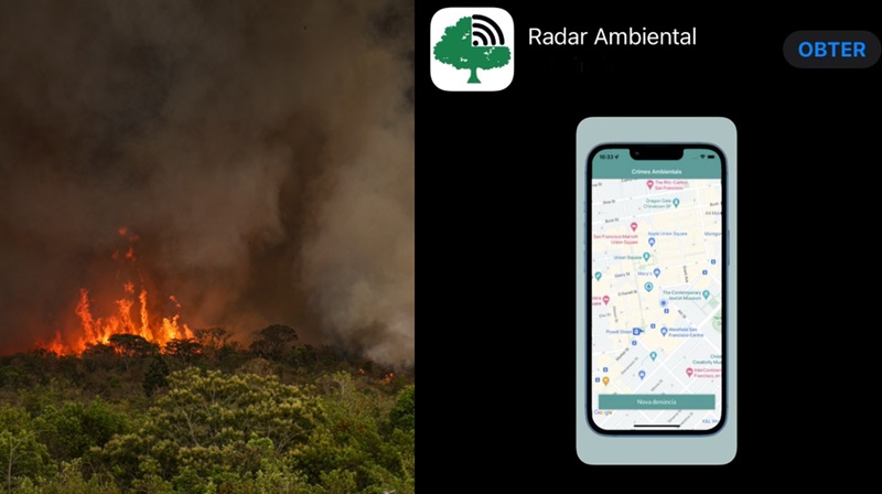 Aplicativo Radar Ambiental facilita envio de denúncias de crimes ambientais