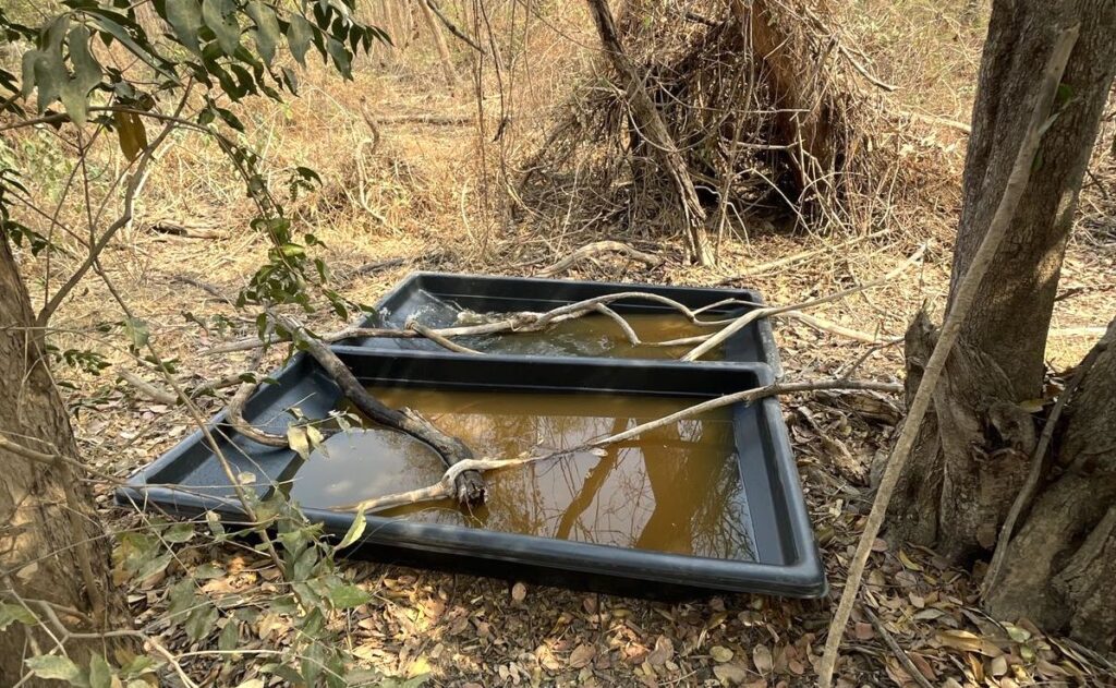 No Pantanal, GRAD Brasil instala pontos de água e atende mais de 800 animais em apenas 8 dias