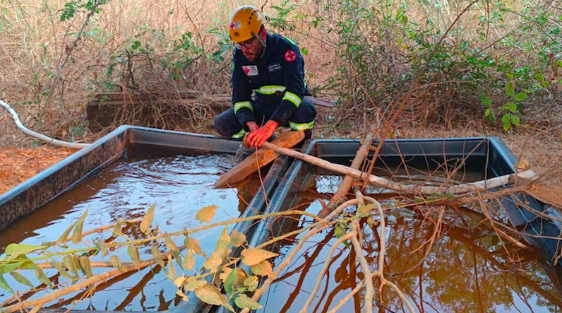 No Pantanal, GRAD Brasil instala cochos de água e atende mais de 800 animais em apenas 8 dias