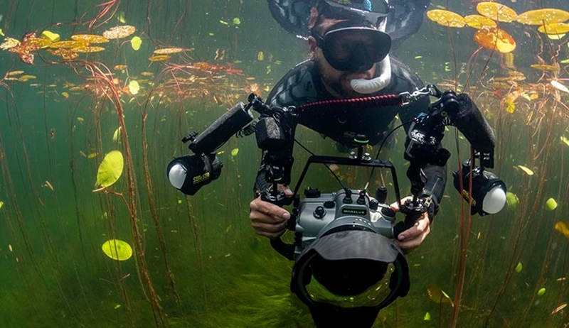 Imagem que mostra conexão intrínseca entre animais, plantas e ambiente vence o Wildlife Photographer of the Year 2024
