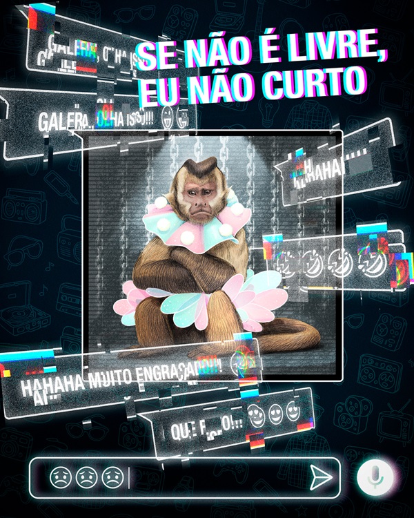 “Se não é livre, eu não curto”: campanha alerta sobre estímulo das redes sociais ao tráfico de animais silvestres
