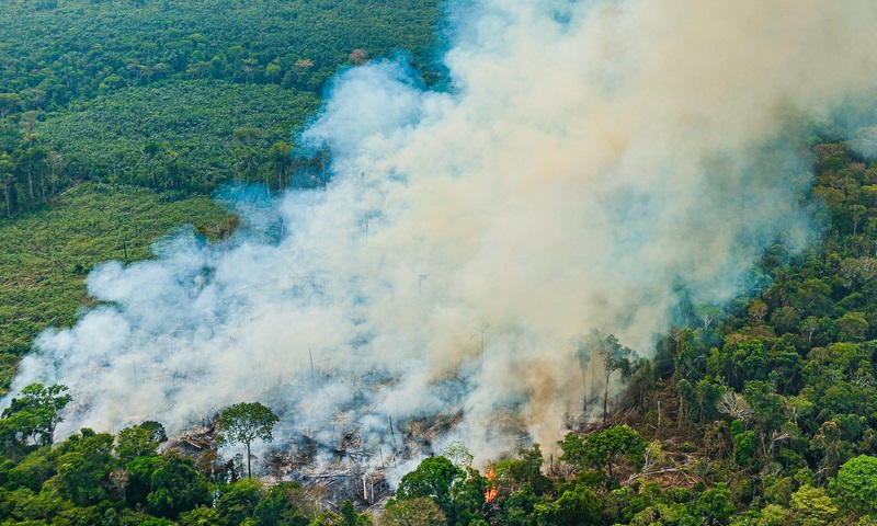 Pior temporada de incêndios impulsiona perda de florestas primárias no Brasil em 2024