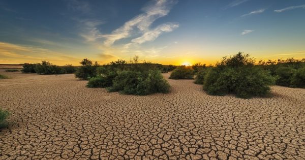 15 mil cientistas assinam carta que alerta sobre a situação do planeta