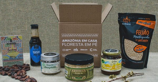 Amazonia-em-casa-floresta-em-pe-_-conexaoplaneta