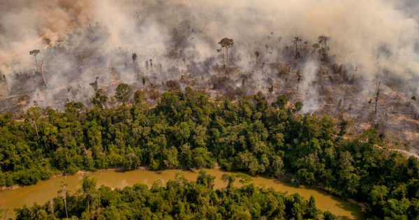 Amazonia-queimada-Reserva-Extrativista-Jaci-Paraná-Porto-Velho-RO-agosto-2020-foto-chistian-braga-greenpeace