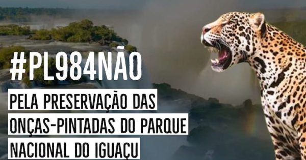 #PL984nao-parque-nacional-do-iguacu