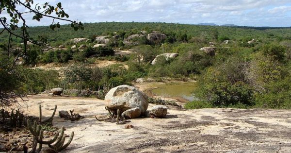 Paisagem_da_Caatinga_Paraibana