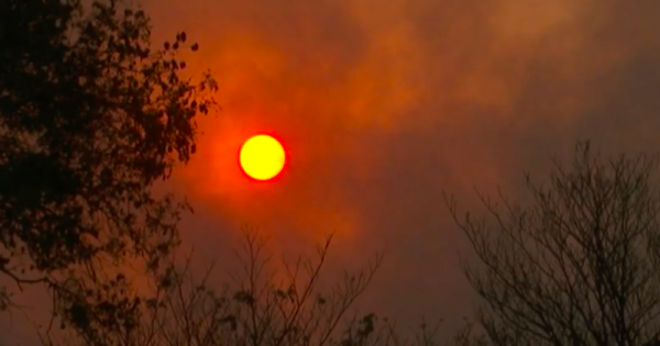 acao-humana-causou-99-virgula-9-porcento-dos-incendios-em-sp-foto-reproducao-de-video-0