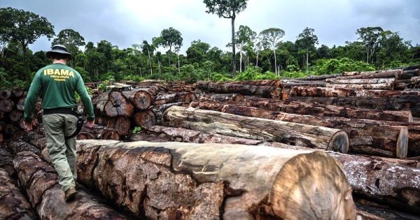 amazonia-desmatamento-abril-maior-dez-anos-2-conexao-planeta