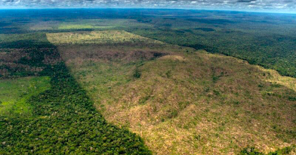 amazonia-desmatamento-julho2022-foto-christian-braga-greenpeace-brasil2