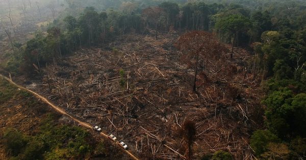 amazonia-desmatamento-outubro-maior-dez-anos-conexao-planeta