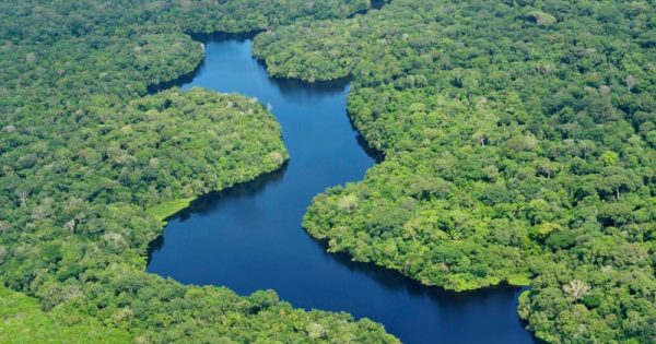 vista aérea da Amazônia