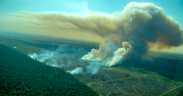 amazonia-julho2021-sobrevoo-queimadas-foto-christian-braga-greenpeace-brasil0b
