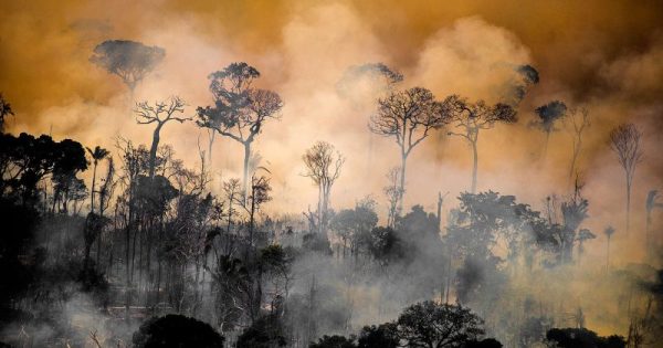 amazonia-queimadas-foto-christian-braga-greenpeace-brasil-agosto2020