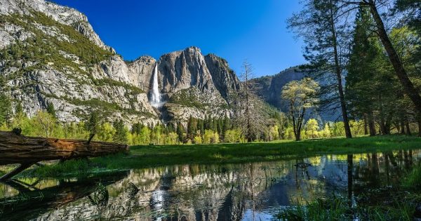 Americanos protestam contra abertura de Starbucks no Parque Nacional de Yosemite