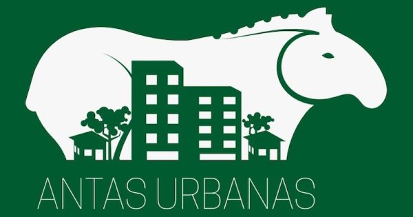 antas-urbanas-estudo-inedito-pesquisadores-incab-ipe-ambientes-urbanos-arte-ronaldo-rosa