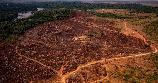 apesar-pandemia-desmatamento-desenfreado-pode-aumentar-emissoes-brasil-conexao-planeta