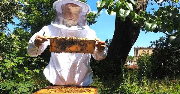 apicultor-conta-sobre-morte-rainha-elizabeth-as-abelhas-palacio-buckingham-foto-royal-family1-john-chapple