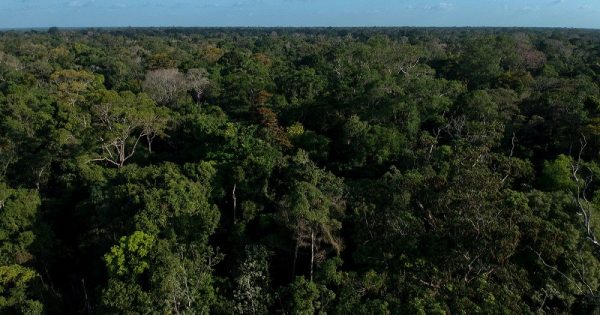 Em menos de uma hora, deputados de Rondônia acabam com mais de meio milhão de hectares de áreas protegidas