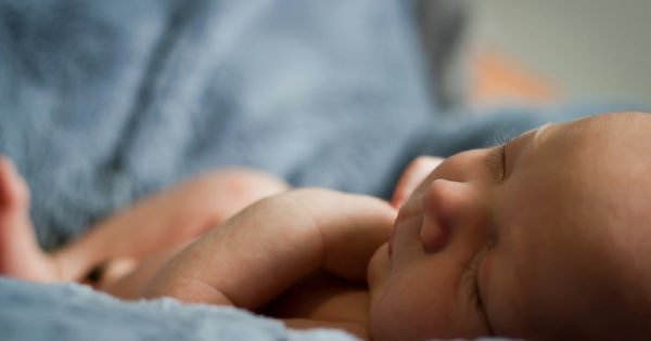 apos-morte-de-bebe-de-seis-meses-por-coqueluche-ministra-da-saude-reforca-pedido-para-vacinacao-foto-carlo-navarro-unsplash