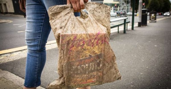 ﻿Após três anos de descarte no meio ambiente, sacola ‘biodegradável’ continua inteira, revela pesquisa