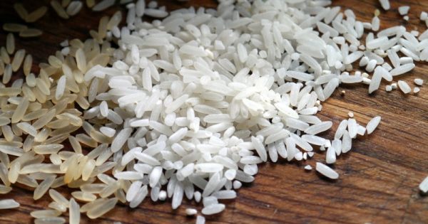 cientistas descobrem arroz que não emite metano