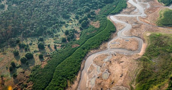 aumento-temperatura-colapso-amazonia-ricardo-stuckert-conexao-planeta