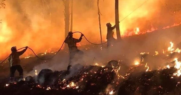 australia-quatro-meses-incendios-devastacao-mortes-conexao-planeta
