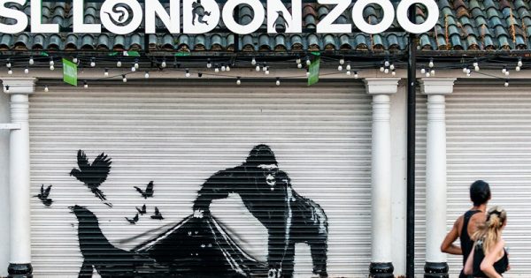 banksy-zoologico-londres-conexao-planeta