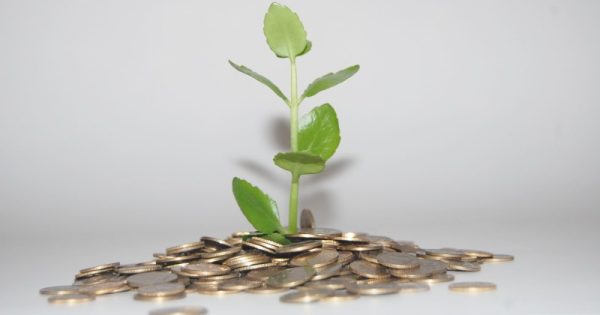 bioeconomia-planta-moedas-modelo-economico