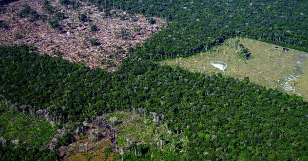 bolsonaro-governo-desmate-amazonia-conexao-planeta