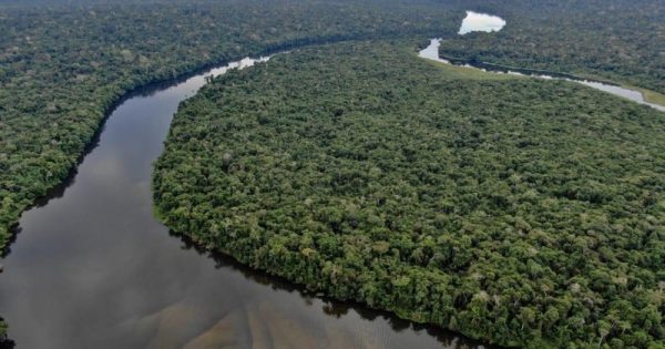 brasil-perda-florestas-primarias-oncafari-fotos-publicas-conexao-planeta