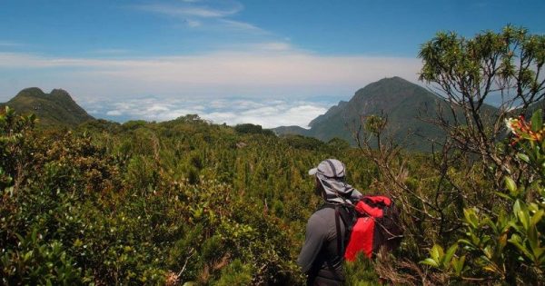 Caminho da Mata Atlântica vai ligar 3 mil km de trilhas no Brasil