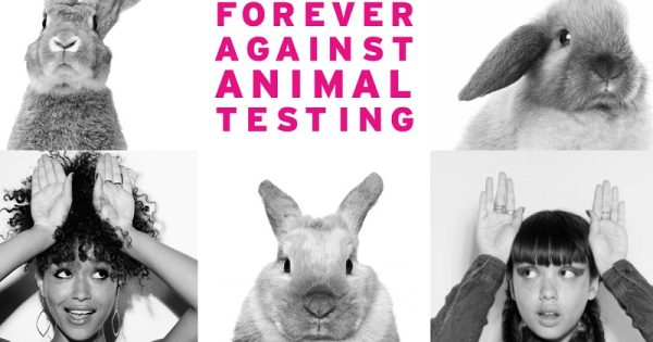 campanha-fim-testes-animais-conexao-planeta