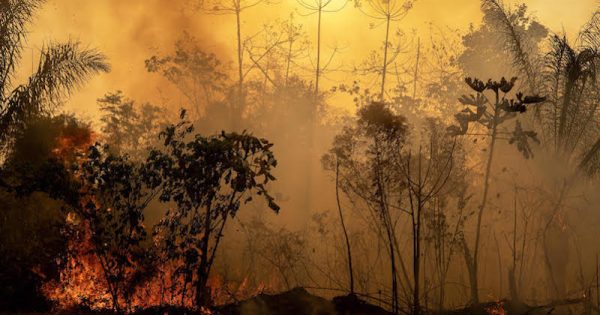 Burning Amazon rainforest area.