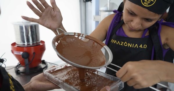 chocolate-floresta-francisco-maia-conexao-planeta