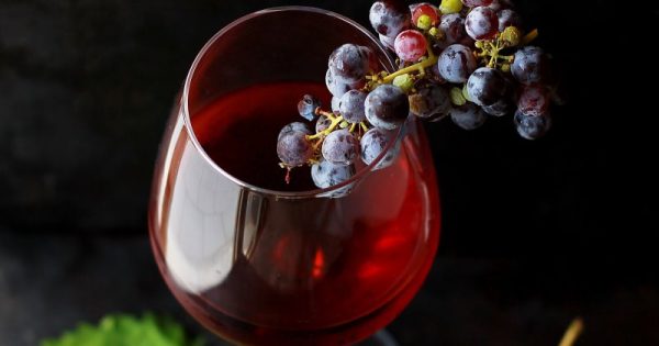 Chocolate amargo, uva e vinho tinto têm substância química que rejuvenesce células