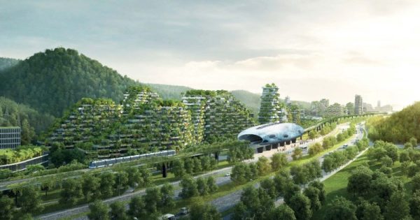 Cidade “floresta” chinesa terá 40 mil árvores e 1 milhão de plantas