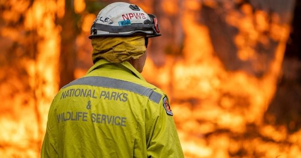 cientistas-previram-agravamento-dos-incendios-florestais-na-australia-foto-John-Spencer