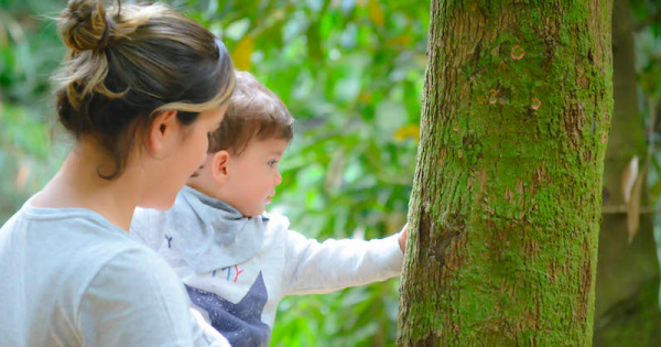 como-conversar-com-os-bebes-na-natureza-foto-renata-stort2