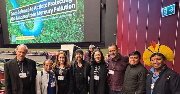 da-cop-de-minamata-a-cop-30-alianca-indigena-quer-amazonia-livre-de-garimpo-foto-divulgacao-2