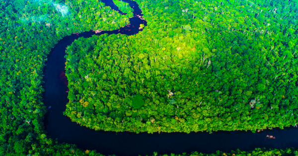 decisão-justiça-MT-anular-criacao-parque-cristalino-II-pode-agravar-crise-climatica-alerta-carta-na-Science- foto-joão-paulo-krajewski2.jpg