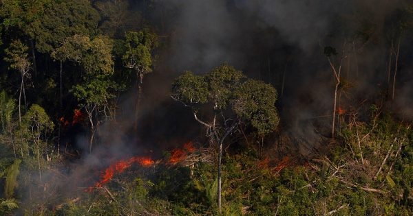 degradacao-floresta-amazonica-setembro-conexao-planeta